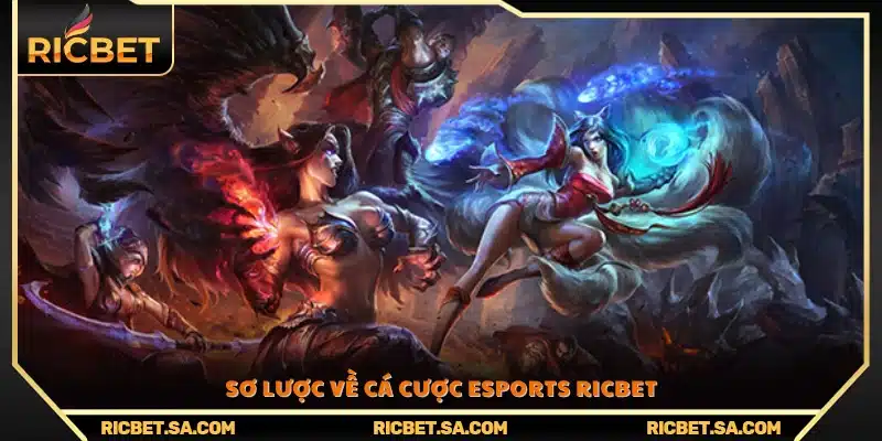 Tổng quan về cá cược esports ricbet