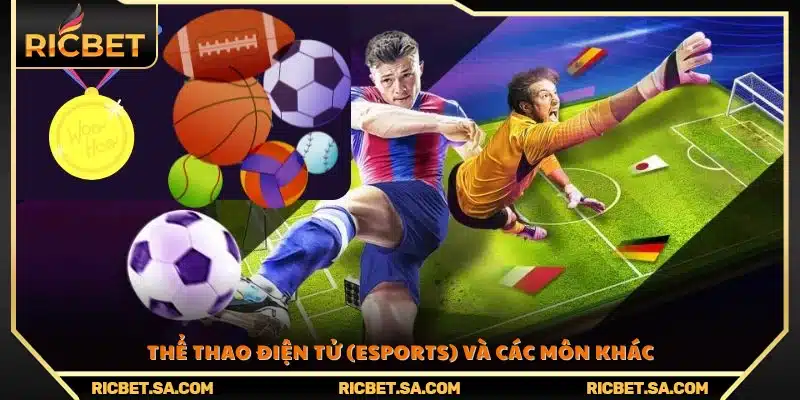 Cá cược Esports cùng nhiều bộ môn thể thao đa dạng